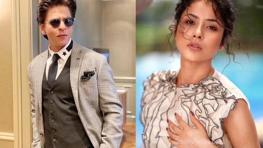 Shehnaaz-Gill-Shah-Rukh-Khan