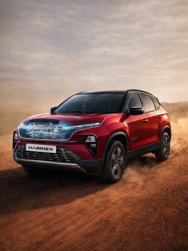harrier